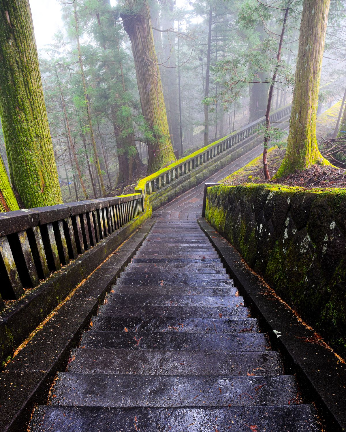Stone steps through misty cedars at Dewa Sanzan