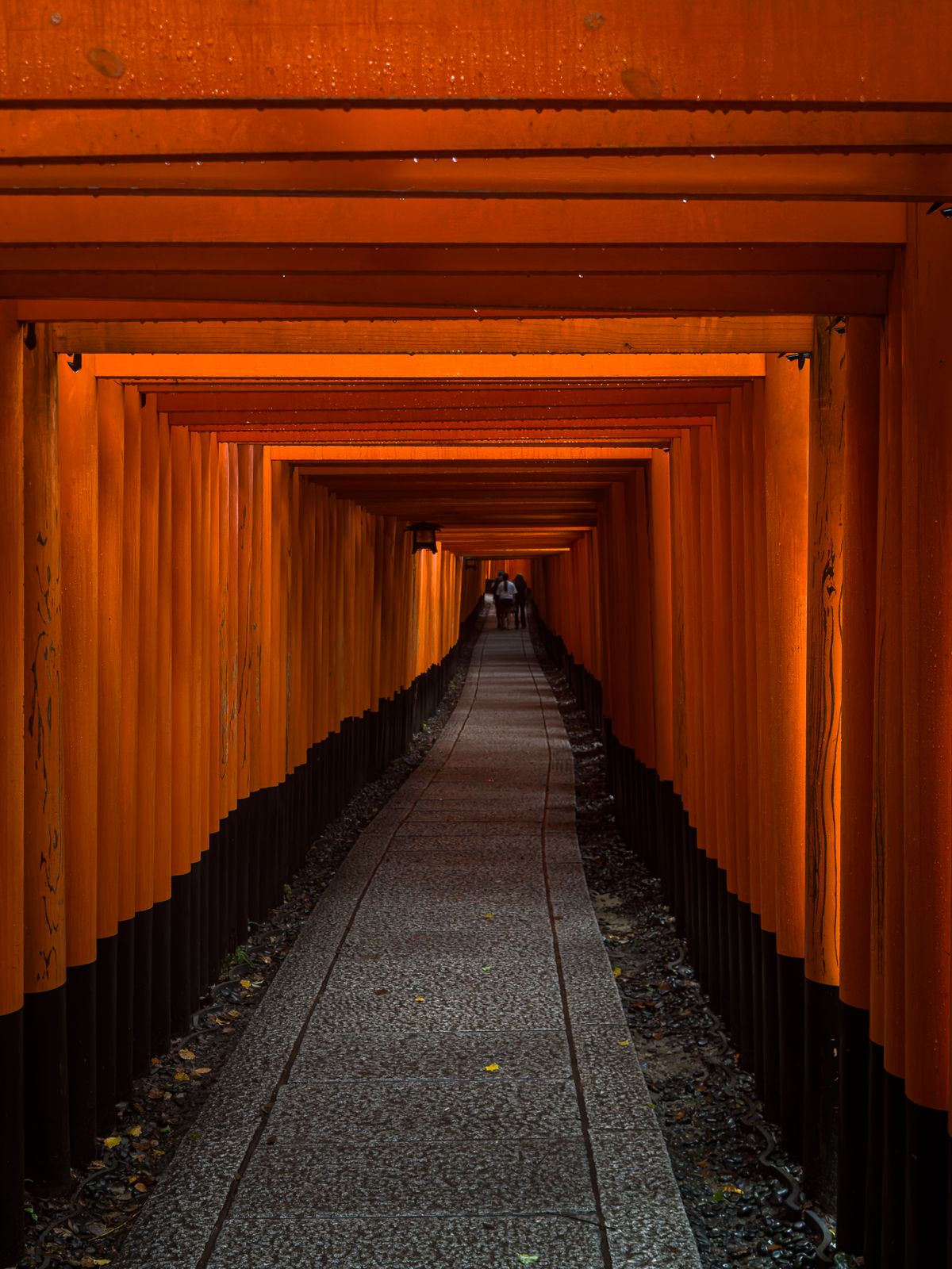 The Senbon Torii gate corridor at Fushimi Inari