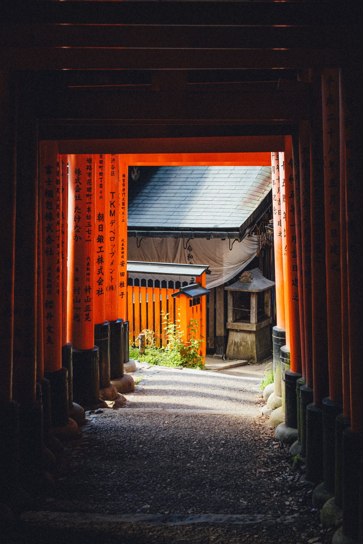 Vermillion torii gates inscribed with the names of the businesses that donated them, Fushimi Inari