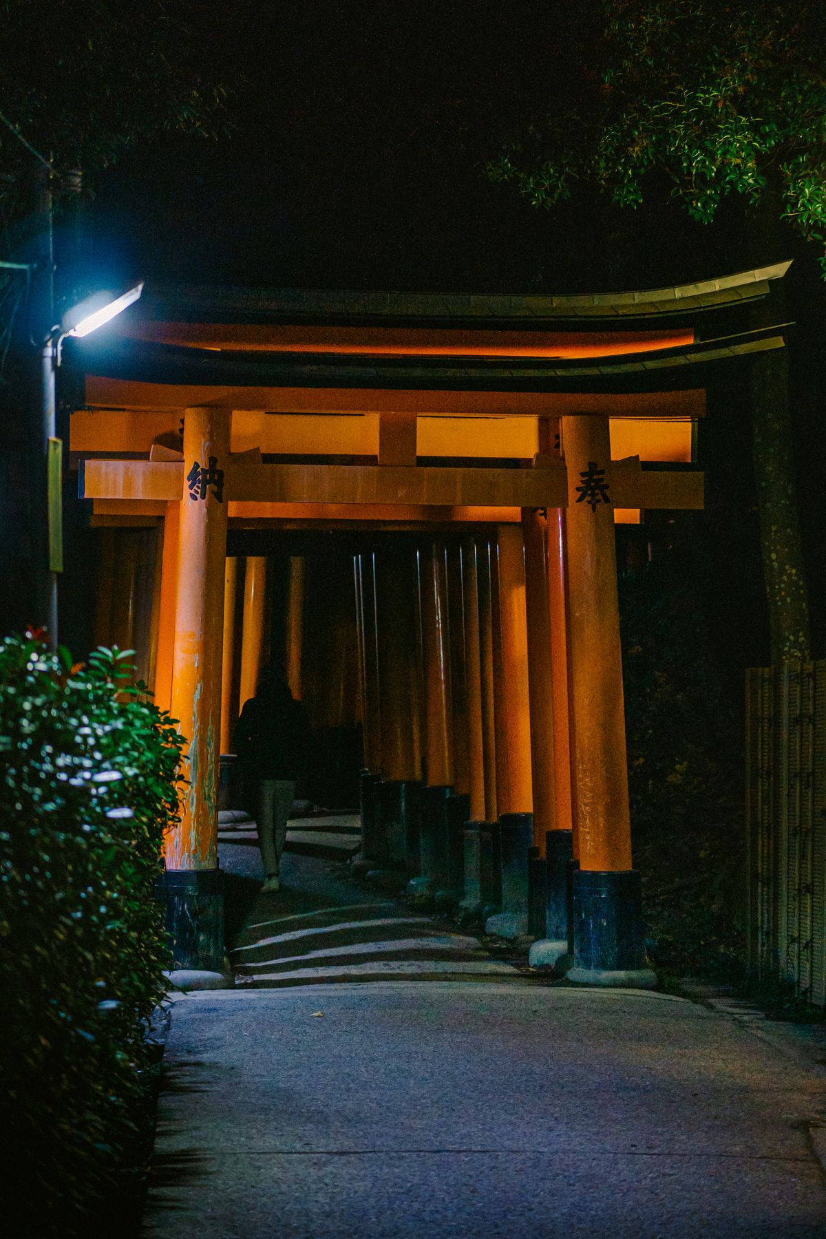 Illuminated torii gates at night with a single figure walking the path at Fushimi Inari
