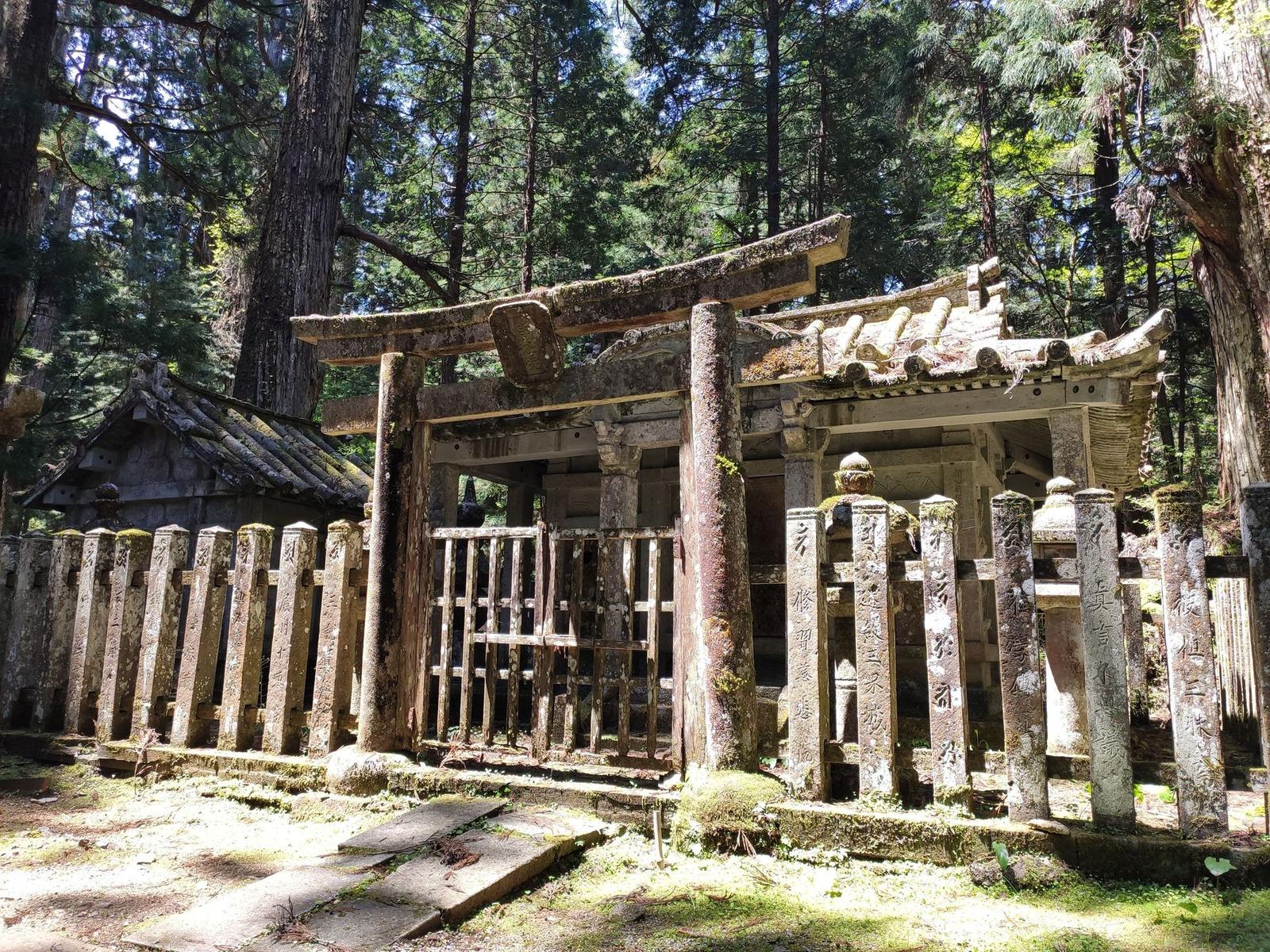 A moss-covered stone torii gate in the cedar forest at Koyasan, Japan
