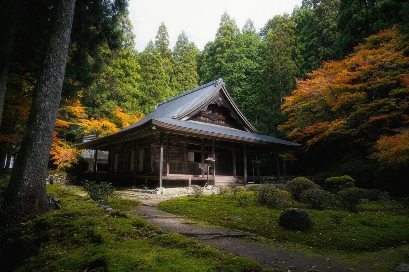 A wooden temple hall at Danjo Garan, Koyasan, framed by autumn maples