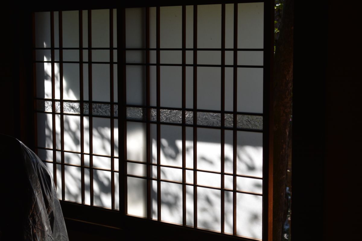 Sunlight falling through a washi paper shoji screen