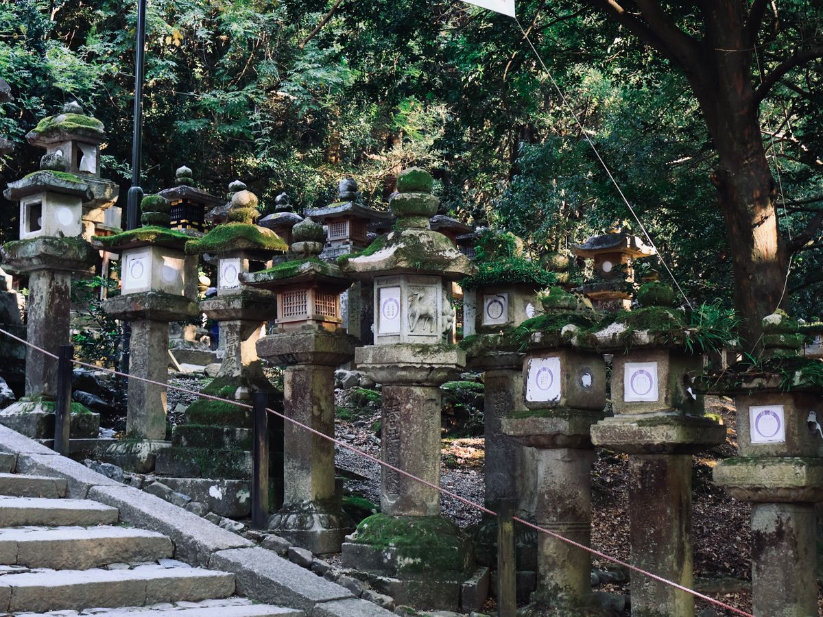 Rows of moss-covered stone lanterns lining the stepped approach to Kasuga Taisha in Nara