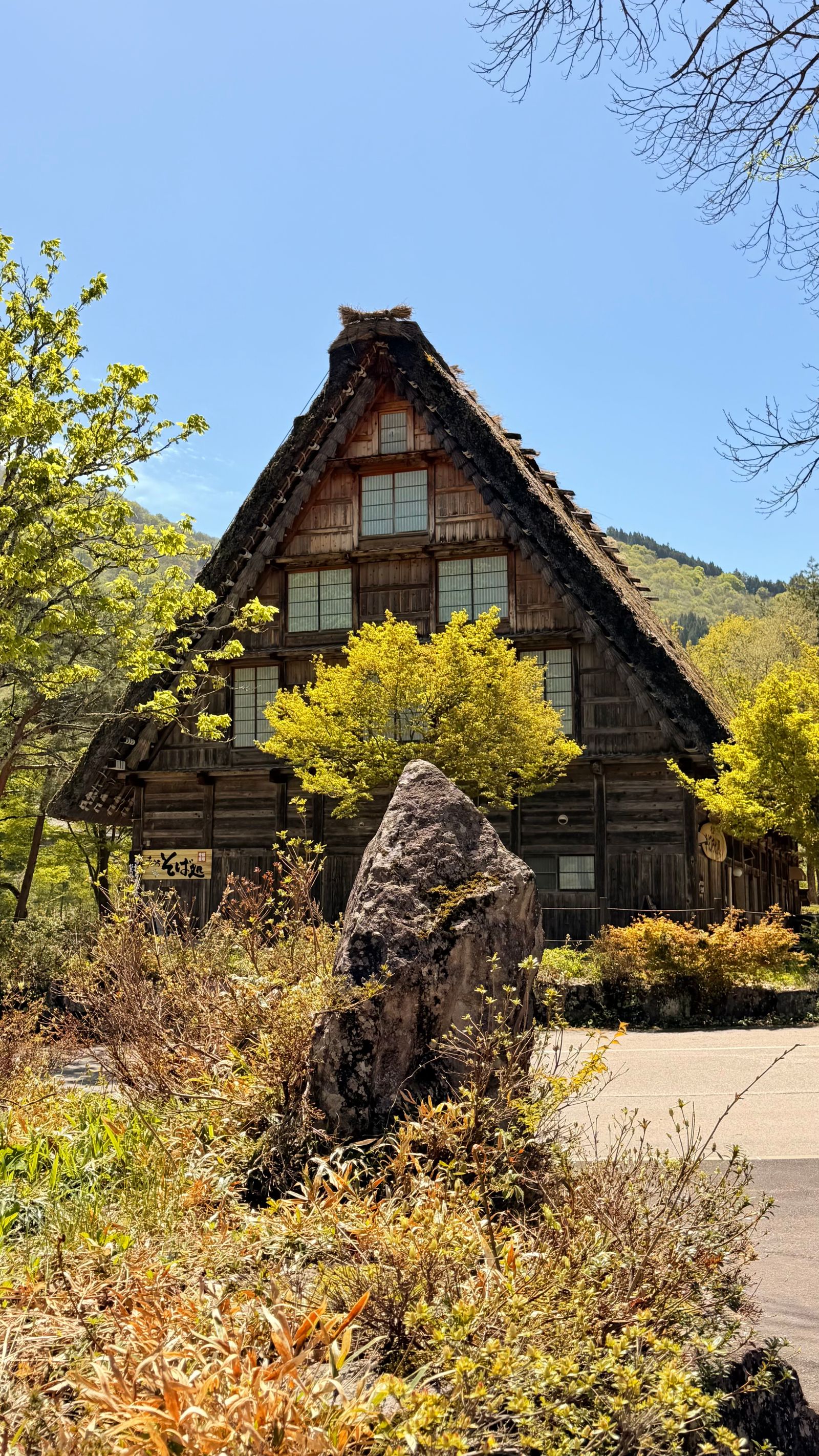 A thatched gassho-zukuri farmhouse in fresh spring green, Shirakawa-go